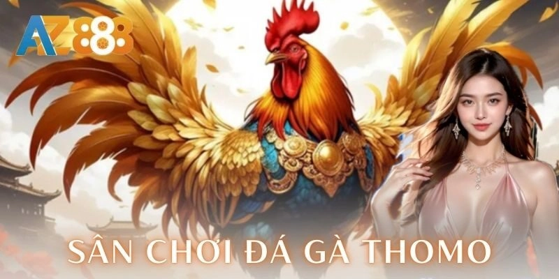  Đánh giá và trải nghiệm từ người chơi