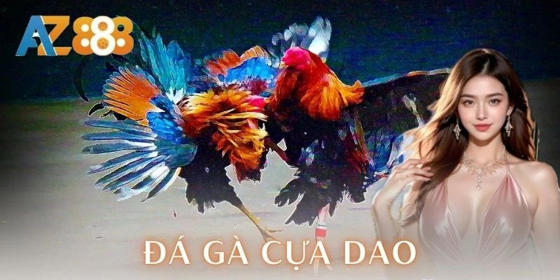 Kỹ thuật chọn gà chiến